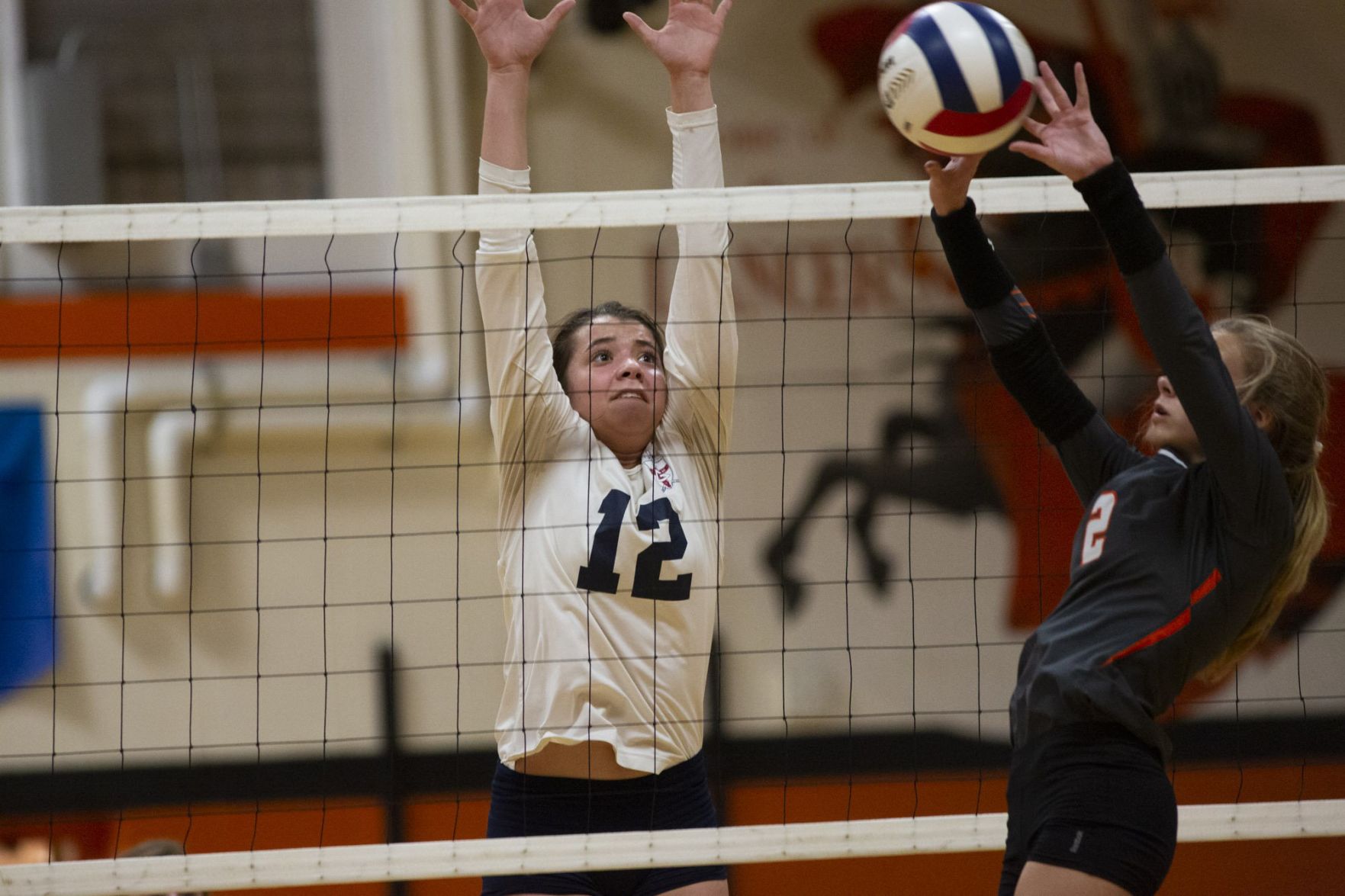 Class 1A Raymond Lincolnwood Sectional semifinal
